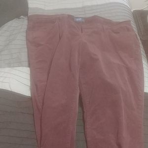 Women's curvy purple courdy pants